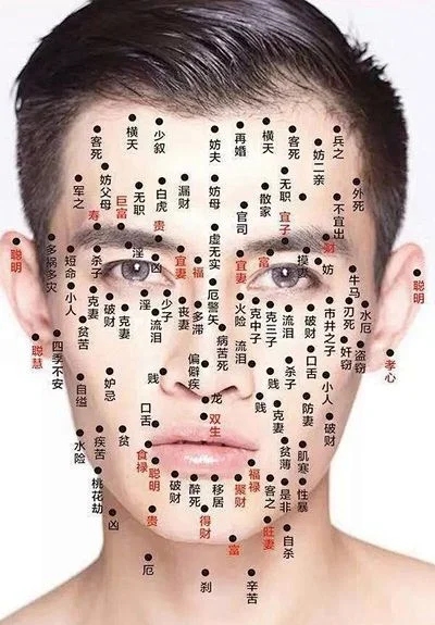 女性面部痣相图解，解读面部痣的含义与位置插图