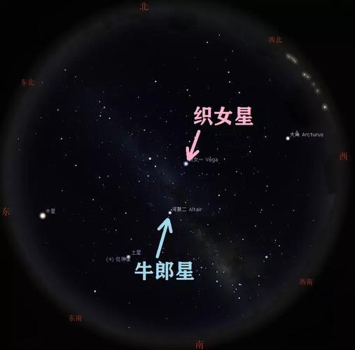 牛郎星所属星座揭秘插图