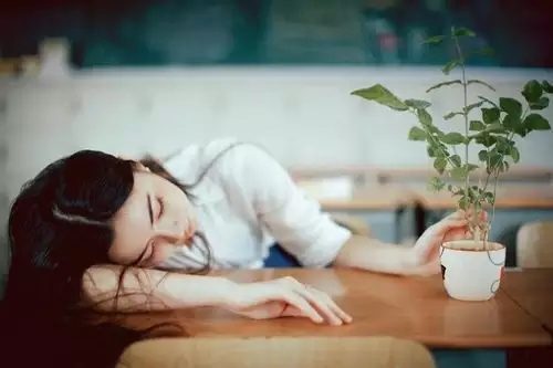 破口大骂与生肖插图 破口大骂与生肖插图