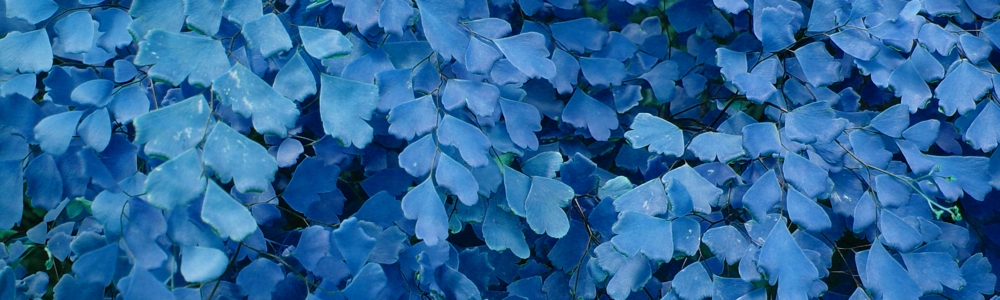 品色自由，让生活永远充满色彩插图