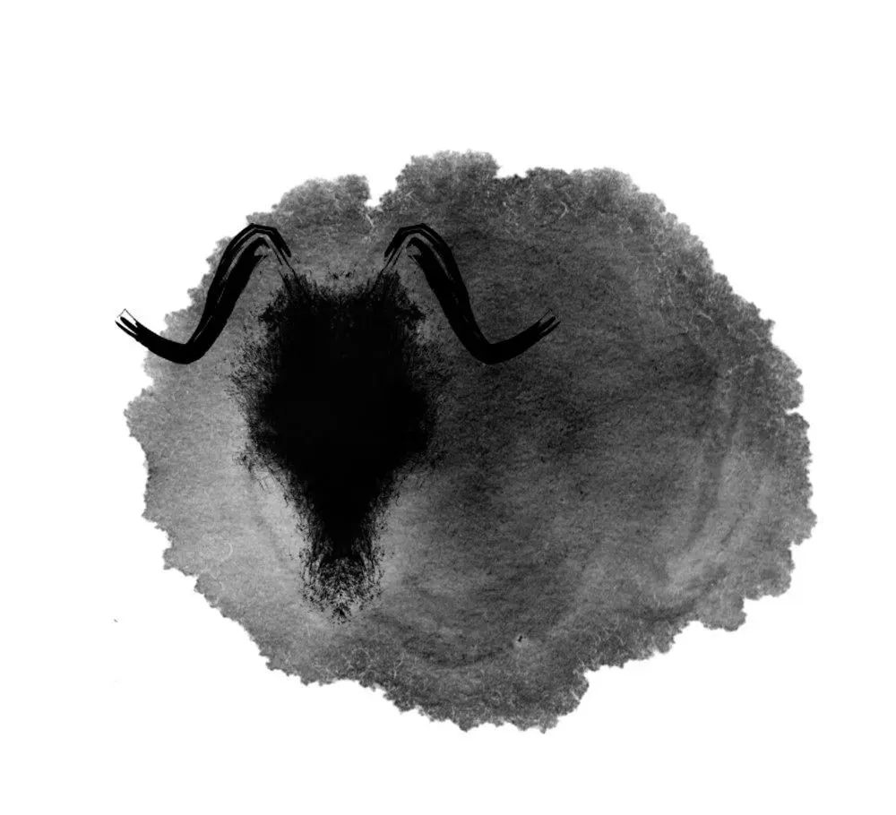 情不自禁的生肖之谜插图