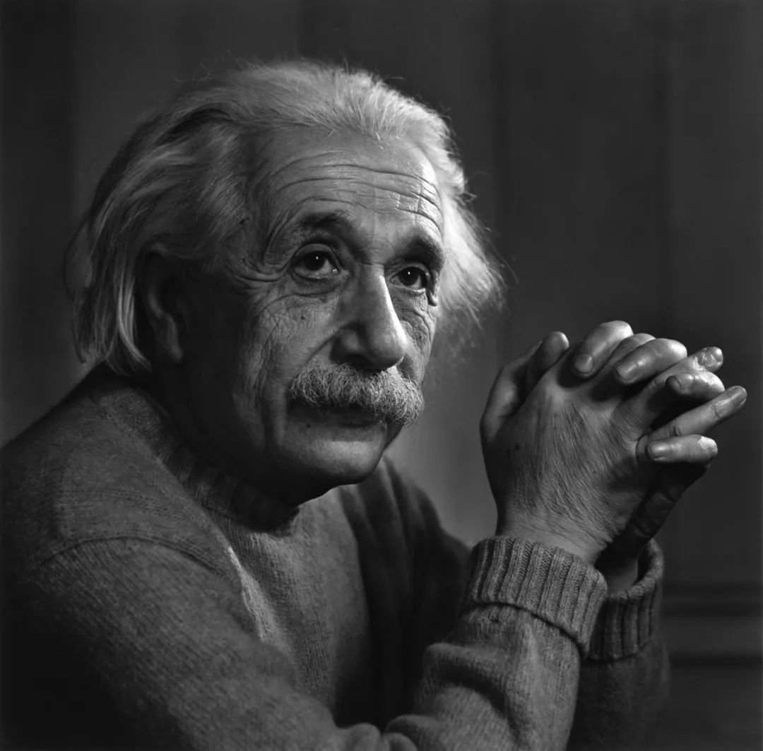 千夫所指,揭示背后的真相,并非特定动物象征插图 千夫所指,揭示背后的真相,并非特定动物象征插图