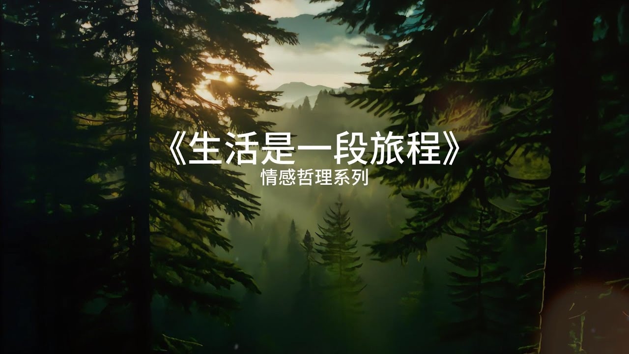 情感故事论坛，一段段温暖心灵的探索之旅插图