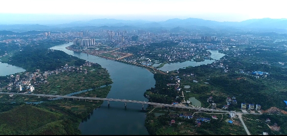 曲高和寡最佳生肖揭晓插图