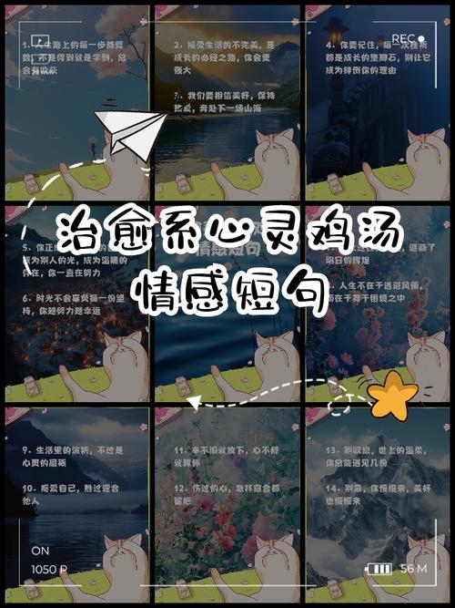 情感说说，心灵的共鸣与自我疗愈的篇章插图