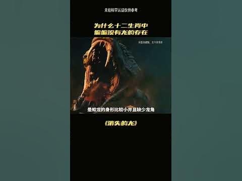 群龙无首与生肖之谜插图