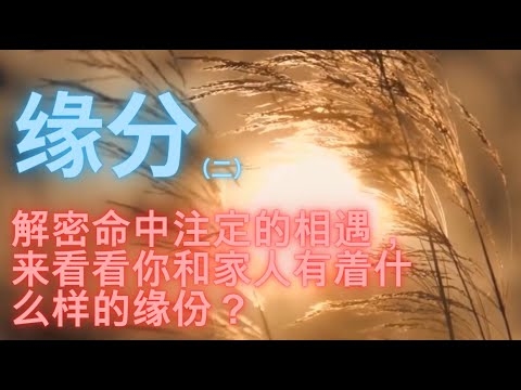 前世缘分深重之人表现插图