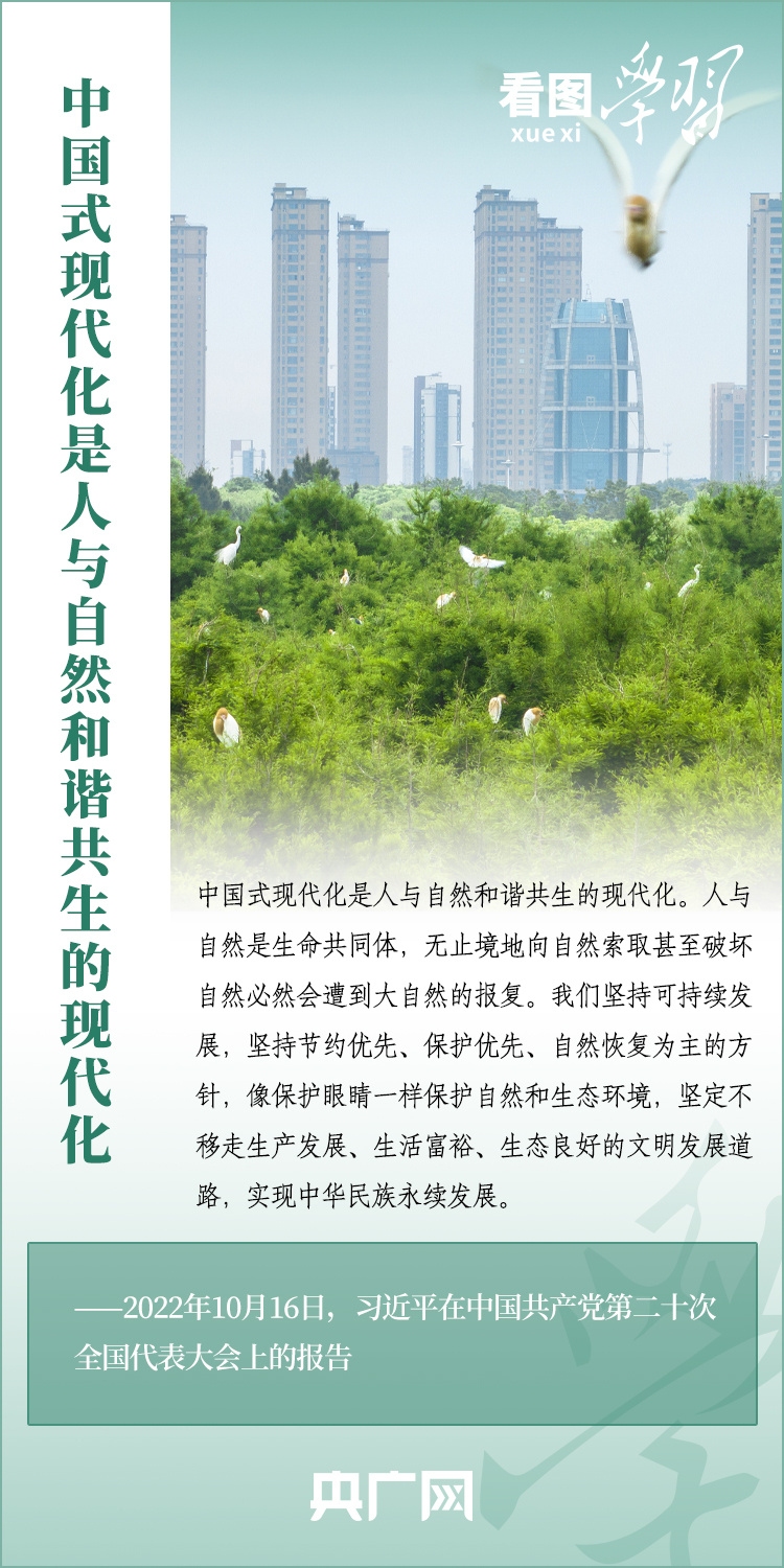 七星现代风水学，传统智慧与现代生活的和谐共生插图