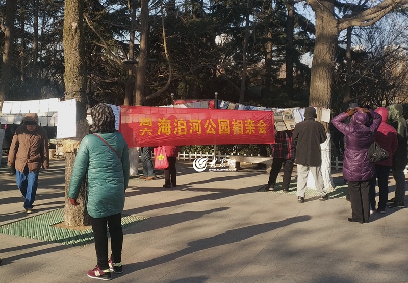 青岛相亲角多，海泊河相亲更佳插图