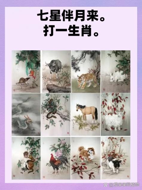 七星伴月下的生肖传奇插图