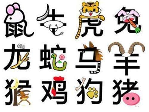 热火朝天与生肖的奇妙联系插图