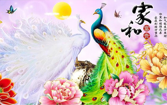 如鱼得水与生肖的奇妙联系插图