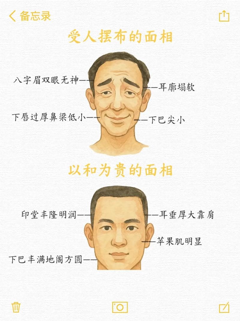 如何看男人的面相插图