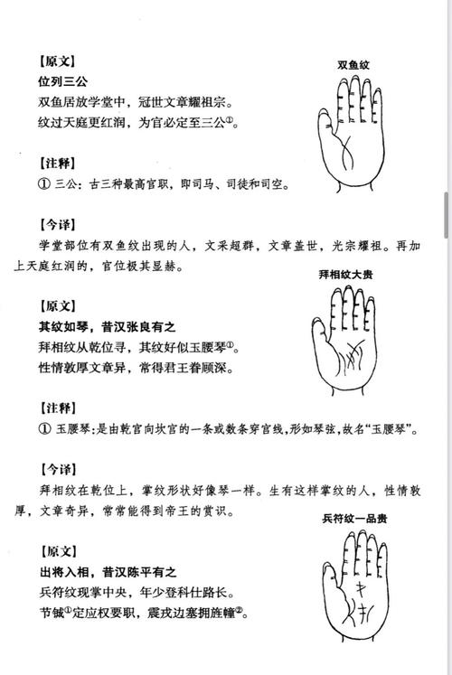 手背痣相图解，探索古老智慧与现代解读插图