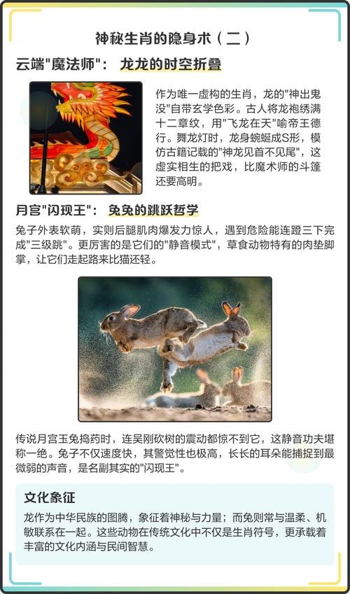 神出鬼没的动物—生肖探秘插图 神出鬼没的动物—生肖探秘插图