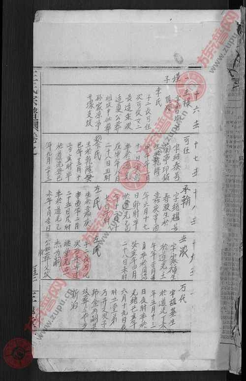 山东王氏族谱，寻根问祖，传承千年的家族记忆插图