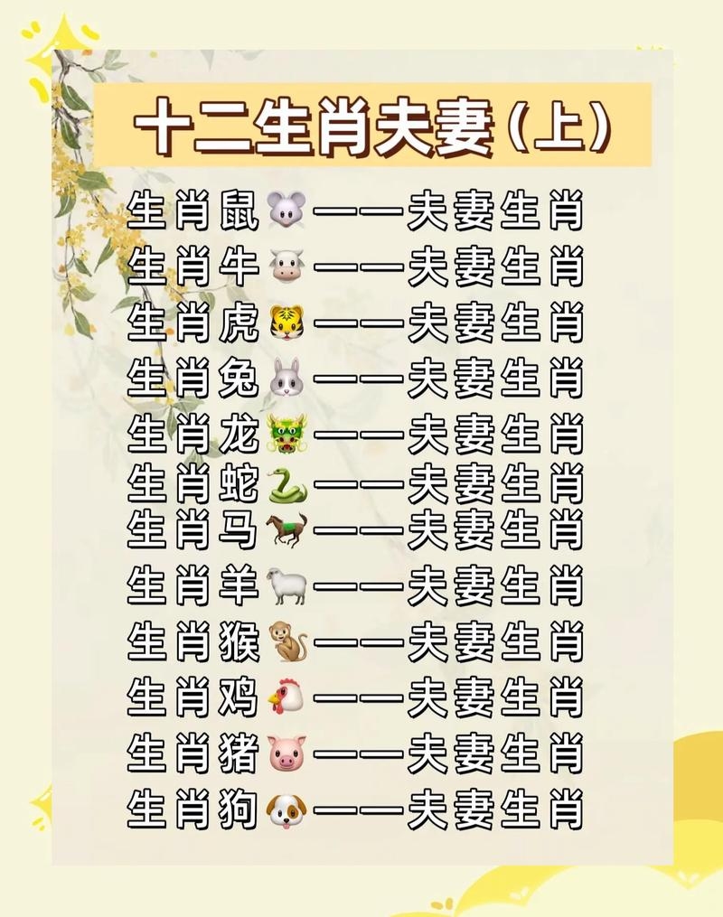 十二生肖星座配对指南插图