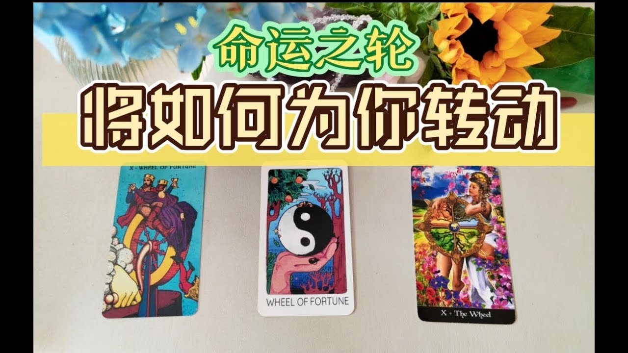 十二生肖八字算命,探寻命运之轮的秘密插图 十二生肖八字算命,探寻命运之轮的秘密插图