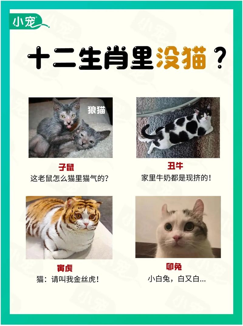 十二生肖无猫，文化认知与地理环境的影响插图
