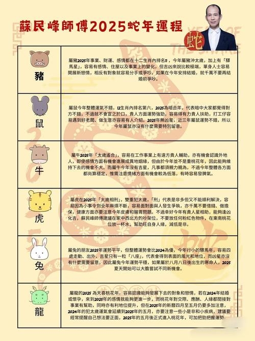 十二生肖运势探秘，运势趋势与启示插图