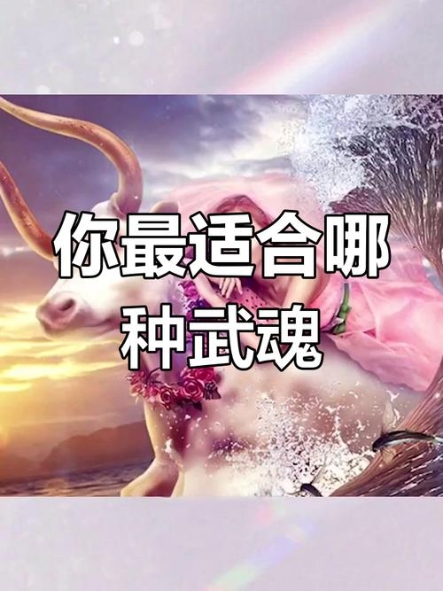 十二星座配对武魂，探索星象与武魂的奇妙缘分插图