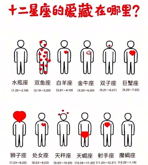 十二星座的爱情，探索星座与情感世界的奇妙联系插图