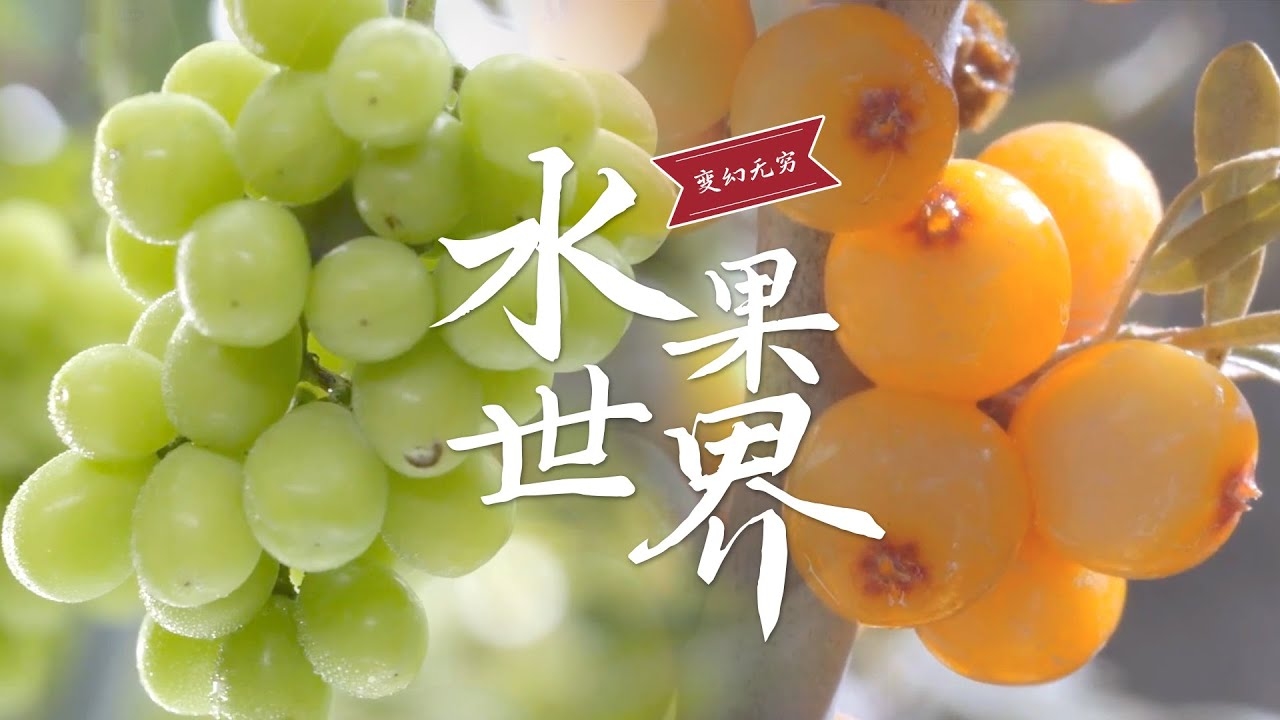 水果名称大全，解锁自然界的甜蜜宝藏插图