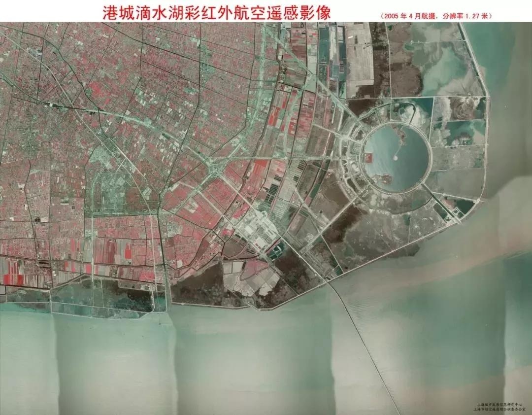 上海算命哪里准，探寻城市中的精准占卜之地插图