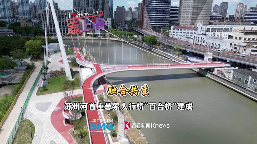 上海同城交友网，构建都市新社交的桥梁插图