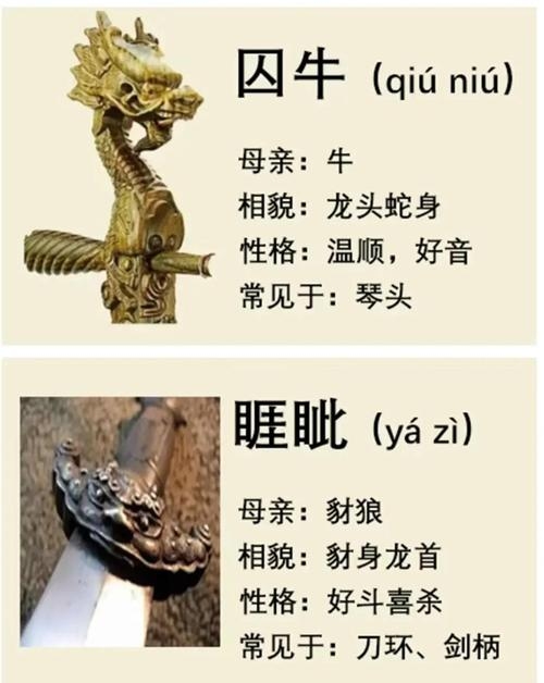 三教九流打一生肖—龙插图