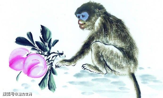 四九相助打一生肖—猴插图 四九相助打一生肖—猴插图