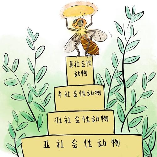 手忙脚乱，与动物共舞—揭秘忙碌的蜜蜂世界插图