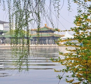 水木清华生肖探秘插图