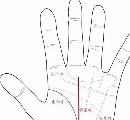 生命线长短与寿命无直接关联插图