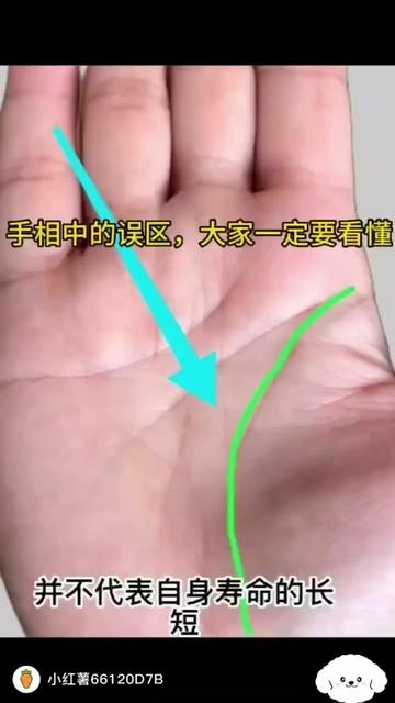 生命线短的人寿命短吗插图 生命线短的人寿命短吗插图