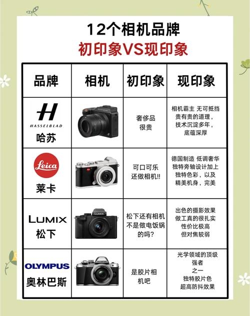 数码相机品牌，从专业到日常的影像记录者插图