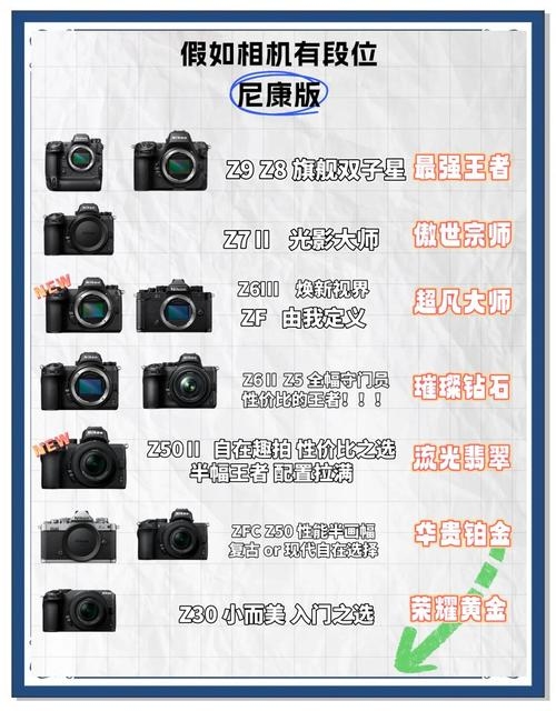 数码相机排名解析，从技术实力到用户偏好插图
