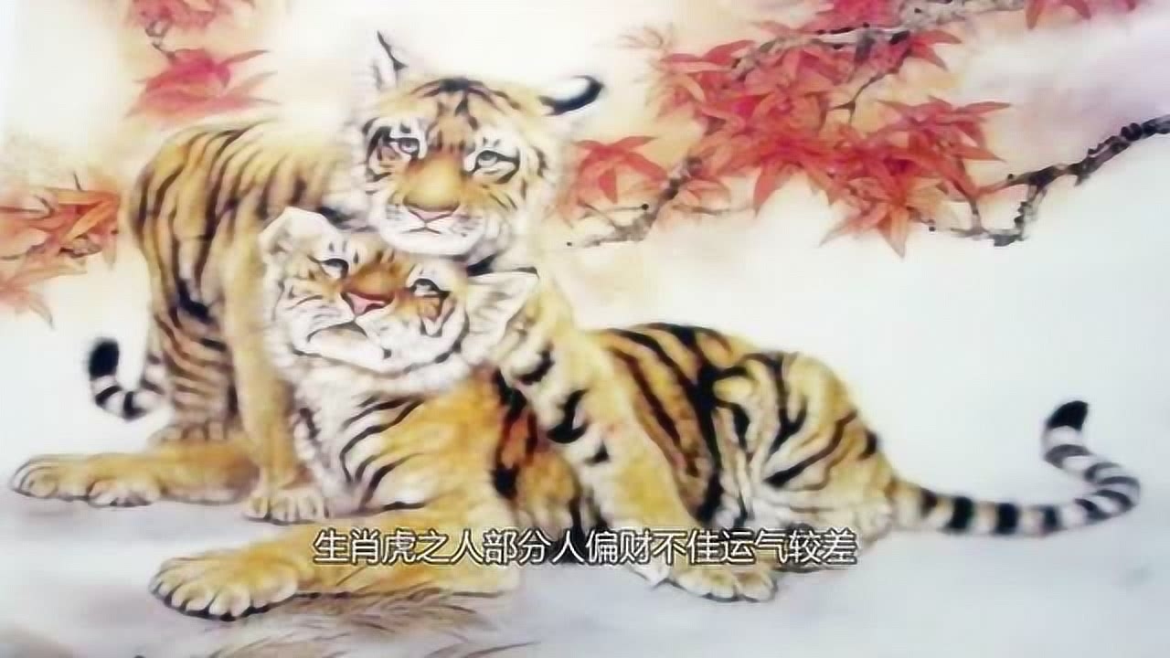三日三省生肖探秘插图 三日三省生肖探秘插图