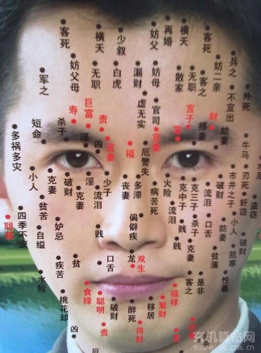 身上痣的位置与命运图解析插图