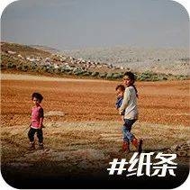 三五成群指的是生肖间的互动与聚集插图