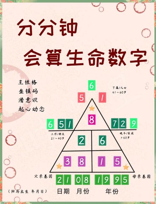 四柱八字视频，解锁古老命理学的数字密码插图