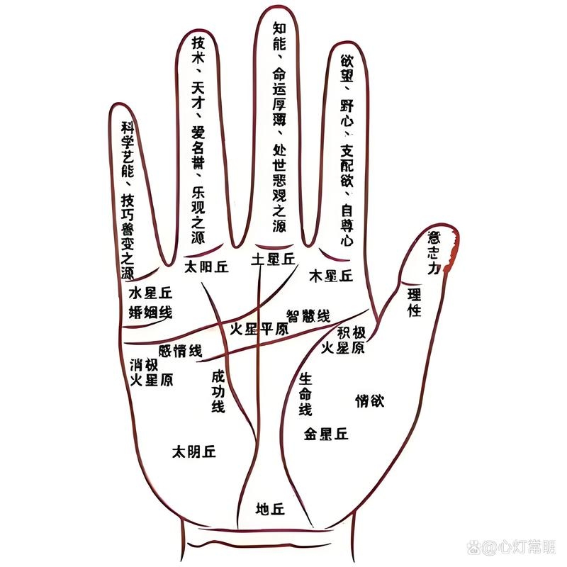 手痣的位置与命运图解插图