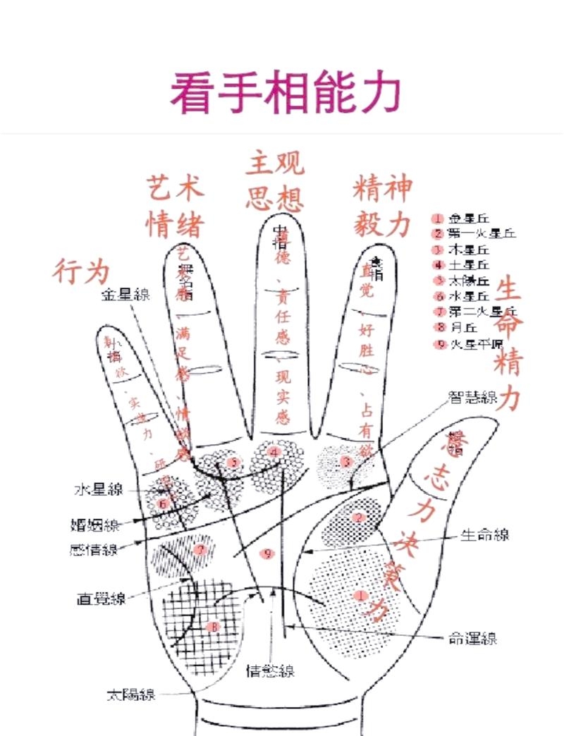 手纹女人命好的奥秘，九种手纹解读插图