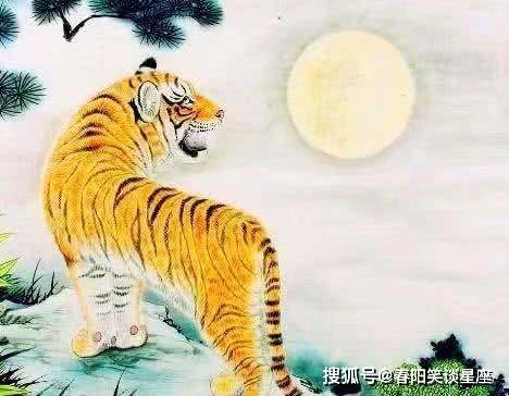 生肖牛，勤劳踏实坚毅，虎勇无畏挑战坚定；，生肖猴，虽非核心三伴，但也具铁石心肠特质。插图