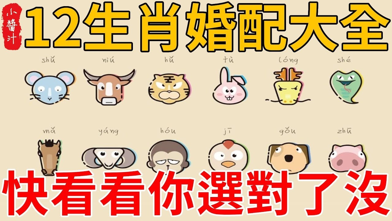 生肖配对与婚姻指数，解析三合六合，助你找到最佳伴侣插图