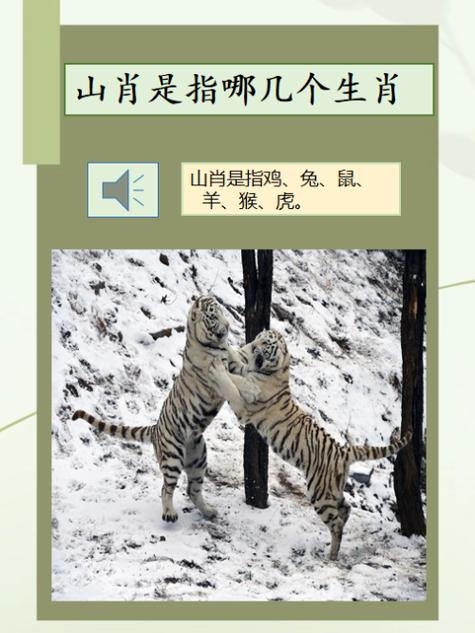 山里人家的生肖传奇插图