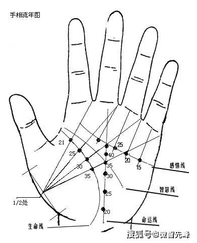 手脉生命线真假难辨,生命线的科学探讨插图 手脉生命线真假难辨,生命线的科学探讨插图