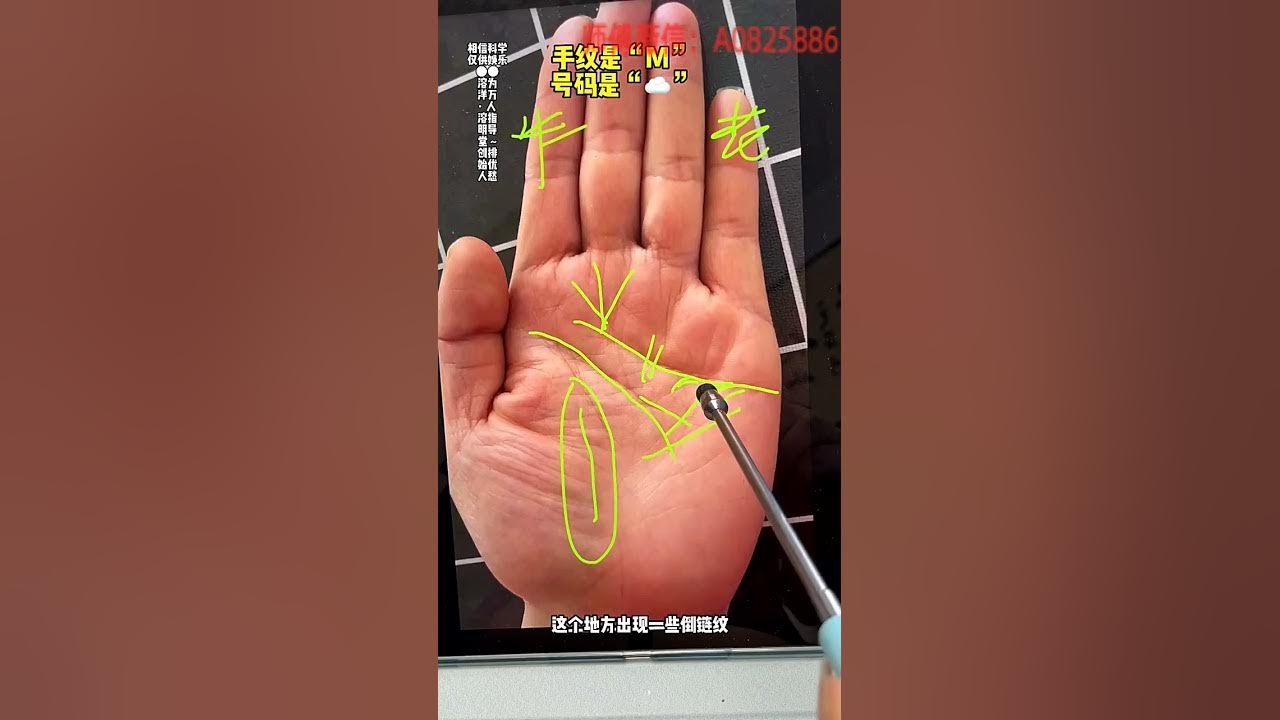 手相算命图解,解锁你掌心的秘密插图 手相算命图解,解锁你掌心的秘密插图