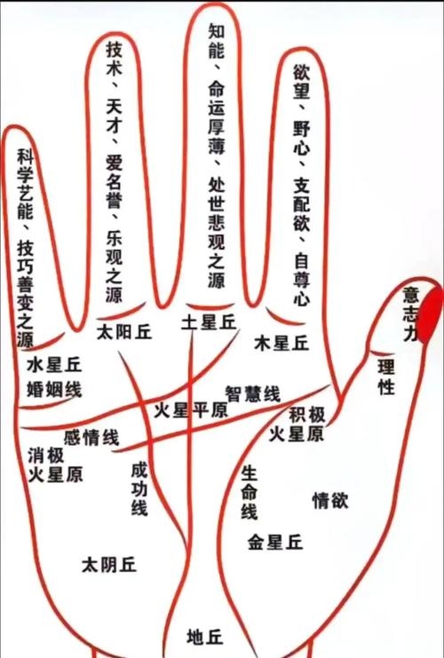 手纹算命图解，揭开命运的神秘面纱插图