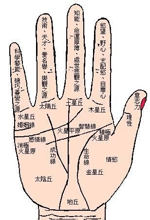 手掌痣的位置与命运解析插图 手掌痣的位置与命运解析插图